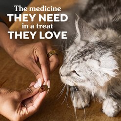 Greenies Pill Pockets Feline Catnip Flavor Natural Soft Adult Cat Treats, 1.6-oz pouch, 45 count slide 2 of 9