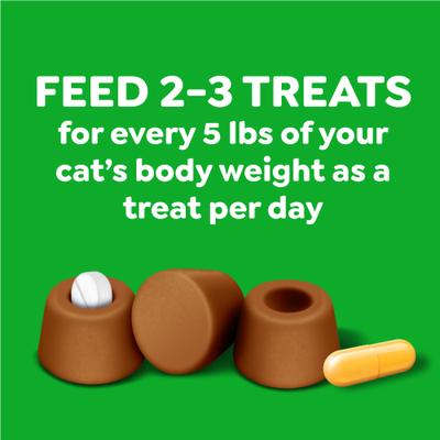 Show full view: Greenies Pill Pockets Feline Catnip Flavor Natural Soft Adult Cat Treats, 1.6-oz pouch, 45 count slide 8 of 11