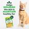 Show in main carousel: Greenies Feline SmartBites Healthy Indoor Natural Chicken Flavor Soft & Crunchy Adult Cat Treats, 4.6-oz bag slide 9 of 11