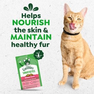 Greenies Feline SmartBites Healthy Skin & Fur Natural Salmon Flavor Soft & Crunchy Adult Cat Treats, 2.1-oz bag