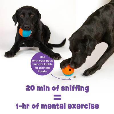 Show full view: Brightkins 2-Piece Texture Ball Tough & Tumble Treat Dispenser Dog Toy, Multicolor, 7.21 x 5.24 x 3.11-in slide 6 of 8