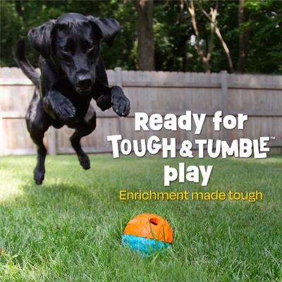 Show full view: Brightkins 2-Piece Texture Ball Tough & Tumble Treat Dispenser Dog Toy, Multicolor, 7.21 x 5.24 x 3.11-in slide 3 of 8