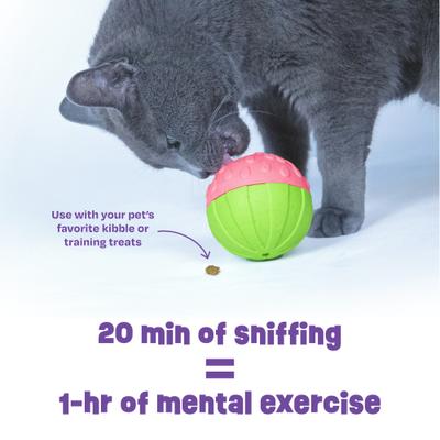 Show full view: Brightkins Watermelon Treat Dispenser Dog Toy, Multicolor, 7.21 x 5.24 x 3.11-in slide 6 of 8