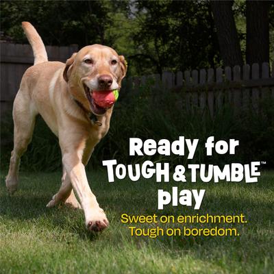 Show full view: Brightkins Watermelon Treat Dispenser Dog Toy, Multicolor, 7.21 x 5.24 x 3.11-in slide 3 of 8