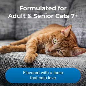 PetAg KMR Healthy Aging Milk Powder Supplement for Cats, 14-oz