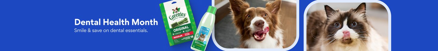 Dental Health Month. Smile & save. Best smiles on dental essentials