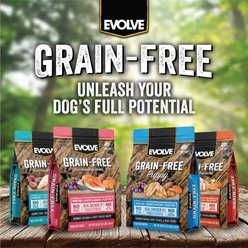 Evolve Grain-Free Deboned Chicken, Sweet Potato & Berry Dry Dog Food, 14-lb bag slide 2 of 7