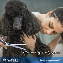 GLADOG Professional 6-in-1 Dog, Cat & Small Pet Grooming Scissors Kit with Grooming Comb, Blue, 6-in, 5 count slide 2 of 6