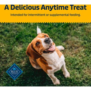 Blue Buffalo Health Bars Baked with Banana & Yogurt Dog Treats, 1-lb bag