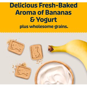 Blue Buffalo Health Bars Baked with Banana & Yogurt Dog Treats, 1-lb bag