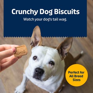 Blue Buffalo Health Bars Baked with Banana & Yogurt Dog Treats, 1-lb bag