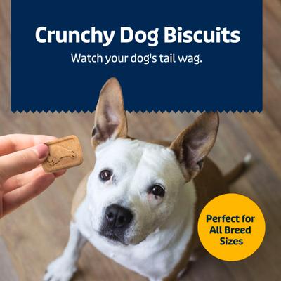 Show full view: Blue Buffalo Health Bars Baked with Banana & Yogurt Dog Treats, 1-lb bag slide 5 of 12