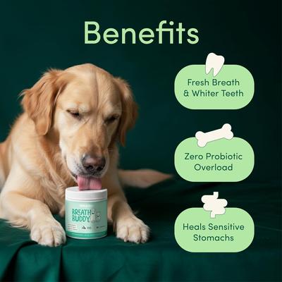 Show full view: Fifth & Fido Breath Buddy Bacon Flavored Powder Dental Dog Breath Freshener Supplement, 30 servings slide 5 of 8