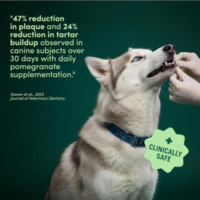 Show full view: Fifth & Fido Breath Buddy Bacon Flavored Powder Dental Dog Breath Freshener Supplement, 30 servings slide 3 of 9