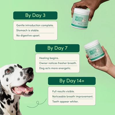Show full view: Fifth & Fido Breath Buddy Bacon Flavored Powder Dental Dog Breath Freshener Supplement, 30 servings slide 6 of 8