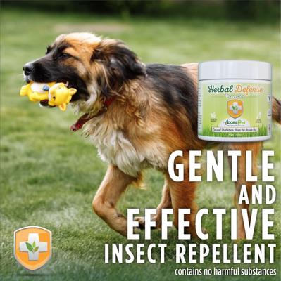 Show full view: ADORE Pet Herbal Defense Powder Natural Flea & Tick Oral Supplement for Dogs & Cats, 4-oz jar slide 4 of 7