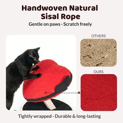 Show full view: Happy & Polly Heart Shape Cat Scratching Toy slide 8 of 9