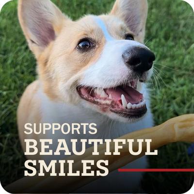 Show full view: Redbarn Collagen Sticks Dog Chew, Large, 3 count slide 5 of 12