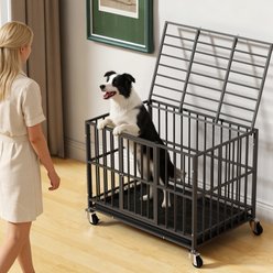 Xbrigh Double-Door Dog Crate, Black, 38 inch slide 2 of 7