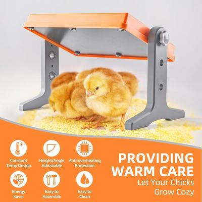 Show full view: Xbrigh Chick Brooding Temperature Control Chicken Heating Pad slide 7 of 7
