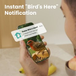 Birdfy Bamboo Smart Bird Feeder with Camera AI Lifetime Free, Black, 1.9L slide 2 of 9