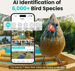 Birdfy Bamboo Smart Bird Feeder with Camera Solar Powered, Black, 1.9L slide 2 of 9