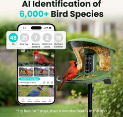 Birdfy Feeder 2 Smart Bird Feeder with Camera AI Recognition, Green slide 2 of 9