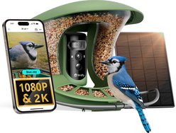 Birdfy Feeder 2 Pro Smart Bird Feeder with Camera AI Recognition, Green