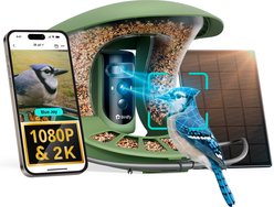 Birdfy Feeder 2 Pro AI Smart Bird Feeder with Camera AI Lifetime Free, Green