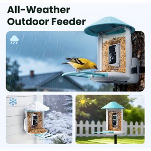 Birdfy Smart Bird Feeder Camera AI Recognition, 1.5L