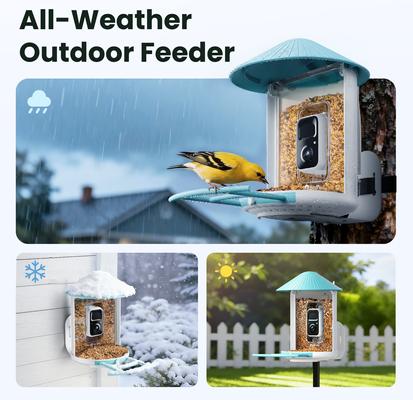 Show full view: Birdfy Smart Bird Feeder Camera AI Recognition, 1.5L slide 7 of 11