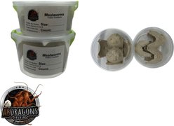 ABDragons Live Mealworms Reptile, Bird, Fish & Small Pet Food, Micro, 50 count slide 2 of 3