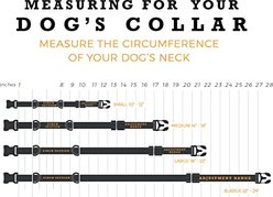Wolfgang Heavy Duty FuzzyTails Martingale Dog Collar with Quick Release, Small: 8 to 12-in neck, 5/8-in wide slide 2 of 6