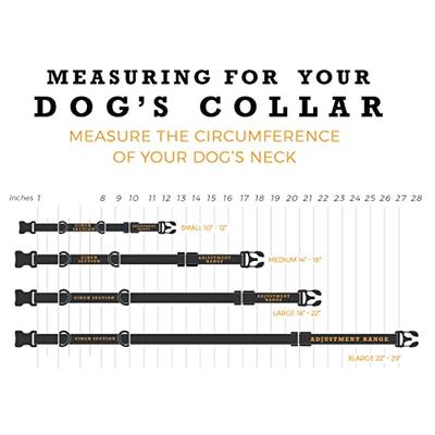 Show full view: Wolfgang Heavy Duty DarkSkies Martingale Dog Collar with Quick Release, Medium: 12 to 18-in neck, 1-in wide slide 6 of 7