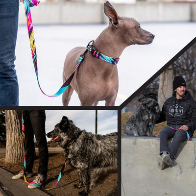 Show full view: Wolfgang Heavy Duty FuzzyTails Martingale Dog Collar with Quick Release, Small: 8 to 12-in neck, 5/8-in wide slide 6 of 6