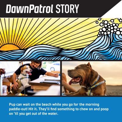 Show full view: Wolfgang Heavy Duty DawnPatrol Martingale Dog Collar with Quick Release, Medium: 12 to 18-in neck, 1-in wide slide 2 of 6