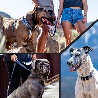 Show full view: Wolfgang Heavy Duty WolfMountain Adjustable Wide Venture Dog Collar with Quick Release, X-Large: 22 to 29-in neck, 1.25-in wide slide 5 of 5