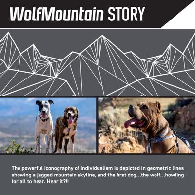 Show full view: Wolfgang Heavy Duty WolfMountain Adjustable Wide Venture Dog Collar with Quick Release, X-Large: 22 to 29-in neck, 1.25-in wide slide 2 of 5