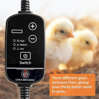 Show full view: Xbrigh Chick Brooding Temperature Control Chicken Heating Pad slide 4 of 7