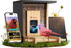 Birdfy Bamboo Smart Bird Feeder with Camera AI Lifetime Free, Black, 1.9L
