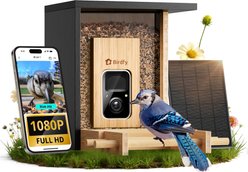 Birdfy Bamboo Smart Bird Feeder with Camera Solar Powered, Black, 1.9L