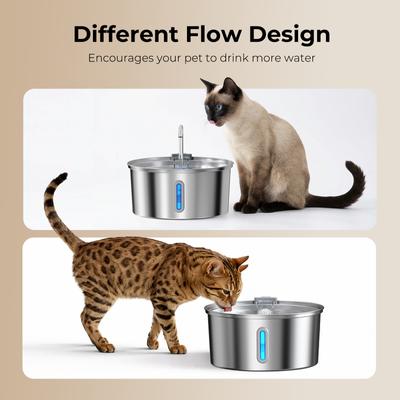 Show full view: HINTON Stainless Steel Automatic Ultra-Quiet Pump Water Fountain for Small Dogs & Cats with Water-Level Window, Silver, 3.2-L slide 5 of 8