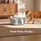 Show in main carousel: HINTON Stainless Steel Automatic Water Dispenser Cat Water Fountain with Water Spout, Silver, 3.2-L slide 8 of 8