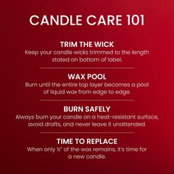 Yankee Candle Macintosh Large Tumbler Scented Candle, 20-oz jar slide 2 of 7