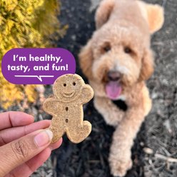 Buddy Biscuits Assorted Flavors with Roasted Chicken, Grilled Beef, Sharp Cheddar Dog Treats, 16-oz box slide 2 of 9