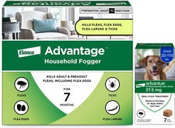 Flea Prevention Kit - Dogs (23-110 lbs) Advantus Soft Chews + Advantage Household Fogger