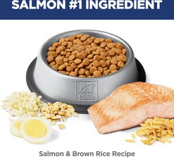 Hill's Science Diet Adult Sensitive Stomach & Skin Salmon & Brown Rice Recipe Dry Cat Food, 6-lb bag slide 2 of 9