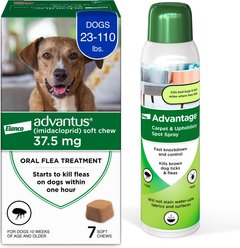 Flea Prevention Kit - Dogs (23-110 lbs) Advantus Soft Chews + Advantage Carpet & Upholstery Spray