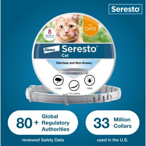 Seresto Flea & Tick Collar for Cats, 1 Collar (8-mos. supply)