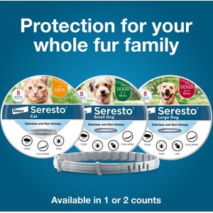Seresto Flea & Tick Collar for Dogs, over 18-lbs, 1 Collar (8-mos. supply)